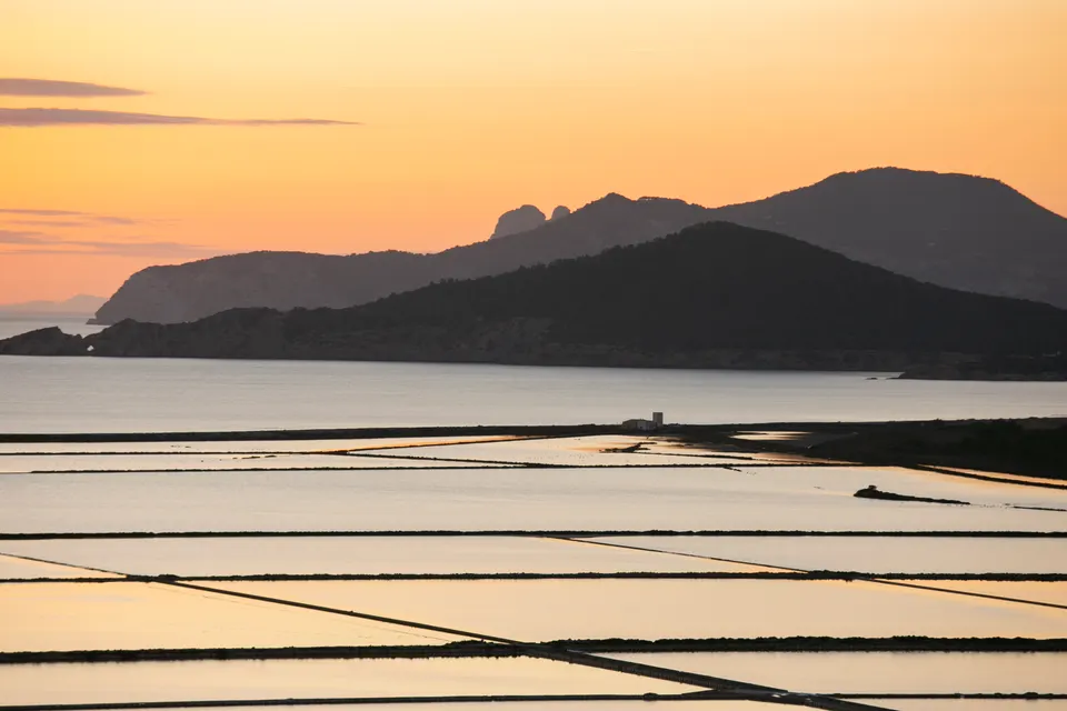Ses Salines